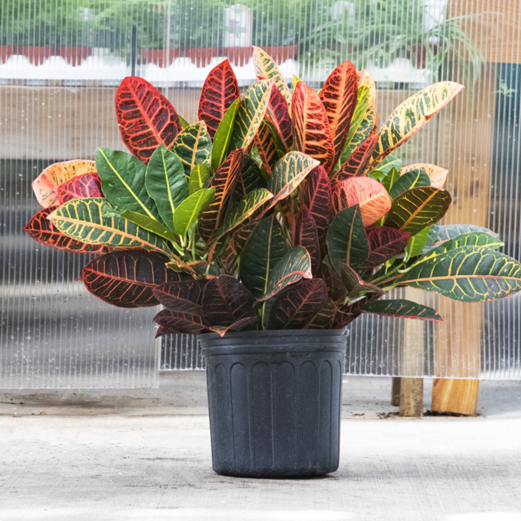 3d printed plants Eco-friendly 3D Printed Mini 2